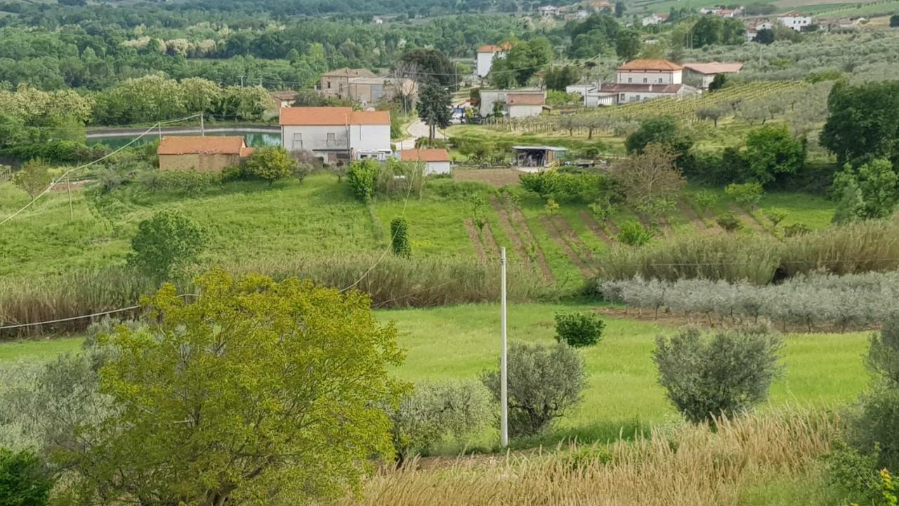 Domus Quarticelli Costa Dei Trabocchi Apartment Torino di Sangro Exterior foto